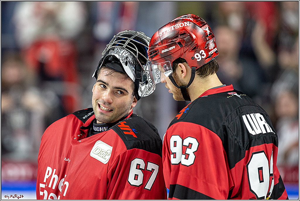 DEL; Koelner Haie - Thomas Sabo Ice Tigers Nuernberg, 19.02.2019